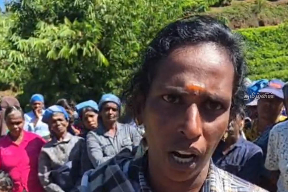 தரவலை மேல் பிரிவு தோட்டத்தொழிலாளர்கள் வேலை நிறுத்த போராட்டம் | Plantation Workers Strike In Nuwara