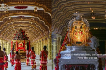 நல்லூர் கந்தனின் தேர்த்திருவிழா இன்று - பக்தர் இன்றி நடந்தேறியது