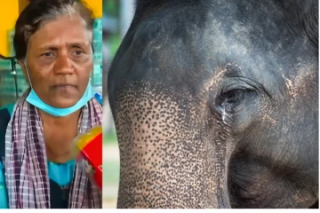 உயிரை காப்பாற்றிக்கொள்ள காட்டில் தஞ்சம்..கண்ணீர் விட்டு அரணாக நின்ற யானை!!