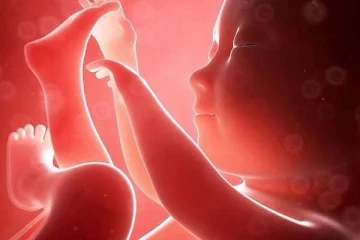 வலியால் துடித்த தங்கை: பிரசவம் பார்த்த அண்ணன்! இறுதியில் அரங்கேறிய சோகம்