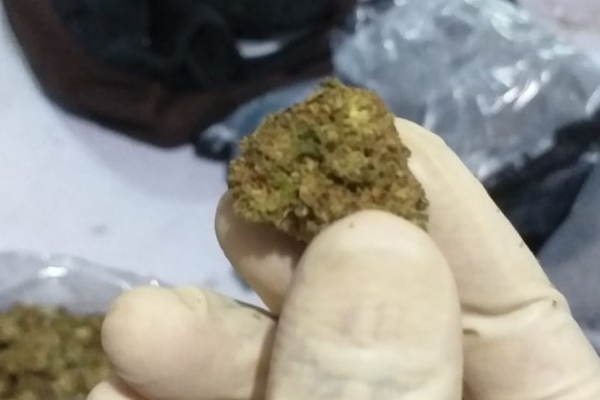 இலங்கையில் வெளிநாட்டு பிரஜைகள் நால்வர் அதிரடியாக கைது! | Foreign Nationals With Kush