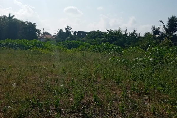 யாழ் தீவகத்தில் கள்ளமோசடியில் சிக்கிய தவிசாளர்; உதவிய கோட்டக்கல்விப் பணிப்பாளருக்கும் ஆப்பு! | Fraud Tavisalar Arrest Jaffna Island