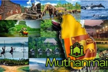 நாட்டில் சுற்றுலாப் பயணிகளின் வருகையை அதிகரிக்க புதிய வேலைத்திட்டம்