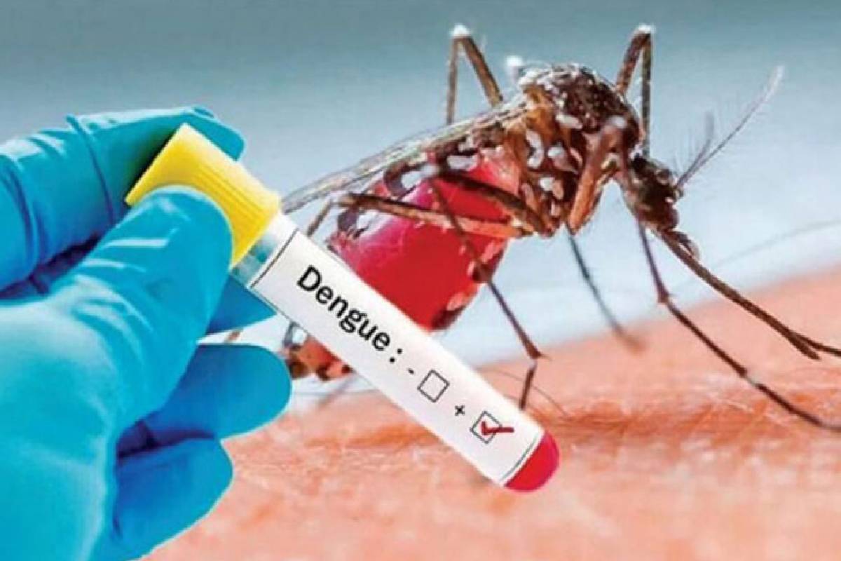 இலங்கையில் நாளுக்கு நாள் மோசமடையும் நிலை ; 04 நாட்களில் 4000ற்க்கும் மேற்பட்டோர் பாதிப்பு | Situation In Sri Lanka Worsens Day By Day இலங்கையில் நாளுக்கு நாள் மோசமடையும் நிலை ; 04 நாட்களில் 4000ற்க்கும் மேற்பட்டோர் பாதிப்பு | Situation In Sri Lanka Worsens Day By Day