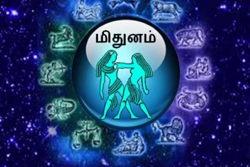 மிதுன ராசிக்காரர்களுக்கு கர்ம பலன்படி அவர்கள் வாழ்க்கை எப்படி இருக்கும் ?
