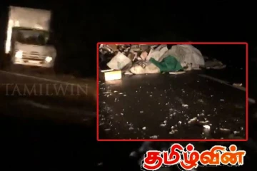 முறிகண்டி A9 வீதியில் சிதறிக்கிடந்த மீன்கள்!