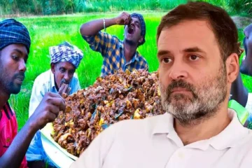 Village Cooking தாத்தாவுக்கு ராகுல் காந்தி உதவி செய்ய மறுத்தாரா? Channel தரப்பில் சொல்லும் விளக்கம்