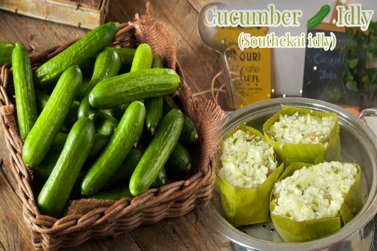 weight loss diet: தொங்கும் தொப்பையை சட்டுன்னு குறைக்க வெள்ளரிக்காய் இட்லி! பண்ணலாமா? | Cucumber Idly Recipe For Weight Loss