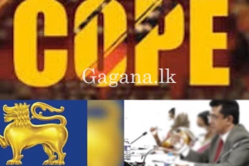 කෝප් කමිටුවට ආ අමුත්තෙක් නිසා හෙන ජරමරයක්. - ඔහුගේ සහභාගිත්වය ගැන විශේෂ පරීක්ෂණයක්.