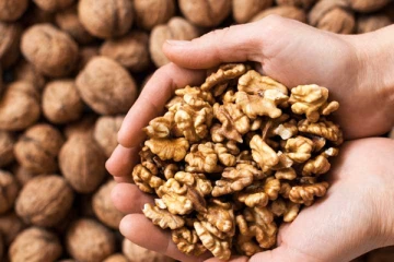 தினமும் 5 வால்நட் சாப்பிடுவதனால் உடலுக்கு ஏற்படும் நன்மைகள் என்ன தெரியுமா?