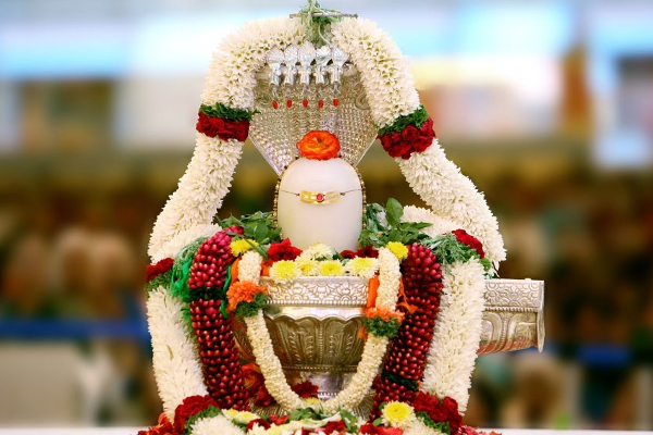 சனிப் பிரதோஷம் திருவோண நட்சத்திரம் இணைந்து வரும் மஹா சிவராத்திரி; எப்படி வழிபடவேண்டும் தெரியுமா! | Do You Know When Worship Lord Shiva On Shivratri