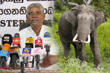 காட்டு யானைகளின் அட்டகாசம்: நடவடிக்கை எடுக்க அரச அதிகாரிகளுக்கு வலியுறுத்து