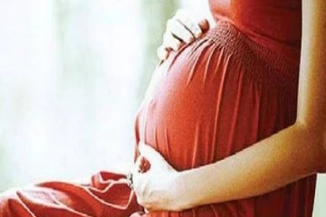 கர்ப்பிணிப் பெண்களுக்கு அதிக பாதிப்பை உண்டாகும் கொடிய வைரஸ்!