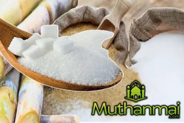 சீனி உற்பத்தியில் கவனம் செலுத்தும் அரசாங்கம் : தொழில் முயற்சியாண்மை அபிவிருத்தி அமைச்சர்