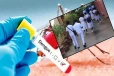 டெங்கு தீவிரம்; பாடசாலை பல்கலைக்கழங்களை மூட வலியுறுத்து