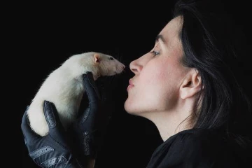 நாடொன்றில்  எலி காய்ச்சல் பரவலால் மக்கள் அச்சம்