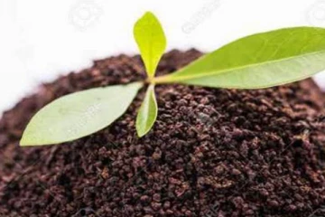 நுவரெலியாவில் தேயிலை தூளை திருடி விற்பனை செய்த 7 பேருக்கு நேர்ந்த கதி!