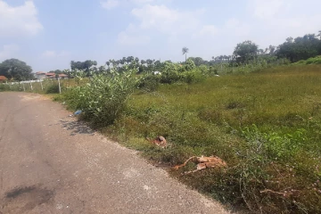 தீவகப்பகுதிகளில் மர்ம நபர்களால் களவாடப்பட்டு கொலை செய்யப்பட்டுள்ள மாடுகள் (Photos)