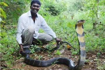 மருத்துவமனையில் வாவா சுரேஷ் எப்படி இருக்கிறார்? வெளியான புகைப்படம்
