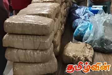 யாழ்ப்பாணத்தில் பெருந்தொகையான கேரள கஞ்சா மீட்பு