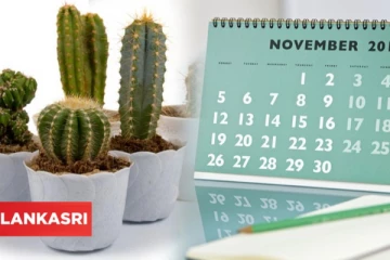 உங்க வீட்டில் இந்த பொருட்கள் எல்லாம் இருந்தால் தூக்கி வீசுங்க.... துரதிர்ஷ்டத்தை ஏற்படுத்துமாம்