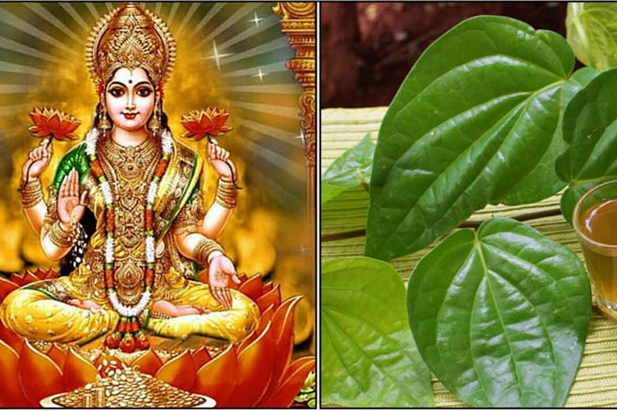 உங்கள் வீட்டில் இந்த அறிகுறி இருந்தால் குலதெய்வத்தின் முழு அருள் உள்ளதாம் | Symptoms Kula Deivam Blessings Is Always With Us உங்கள் வீட்டில் இந்த அறிகுறி இருந்தால் குலதெய்வத்தின் முழு அருள் உள்ளதாம் | Symptoms Kula Deivam Blessings Is Always With Us