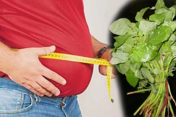 உடலில் உள்ள கொழுப்பை குறைக்க வேண்டுமா? இந்த கீரையை மட்டும் சாப்பிடுங்க!