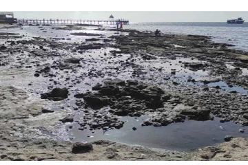 ராமேசுவரத்தில் 100 மீட்டர் தூரத்திற்கு உள்வாங்கிய கடல் - அச்சத்தில் பொதுமக்கள்