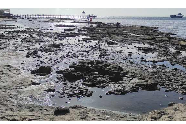 ராமேசுவரத்தில் 100 மீட்டர் தூரத்திற்கு உள்வாங்கிய கடல் - அச்சத்தில் பொதுமக்கள் - தமிழ்நாடு