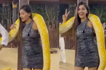 ராட்சத மலைப்பாம்பை கழுத்தில் போட்டுக் கொண்டு போஸ் கொடுத்த யாஷிகா - வைரலாகும் வீடியோ