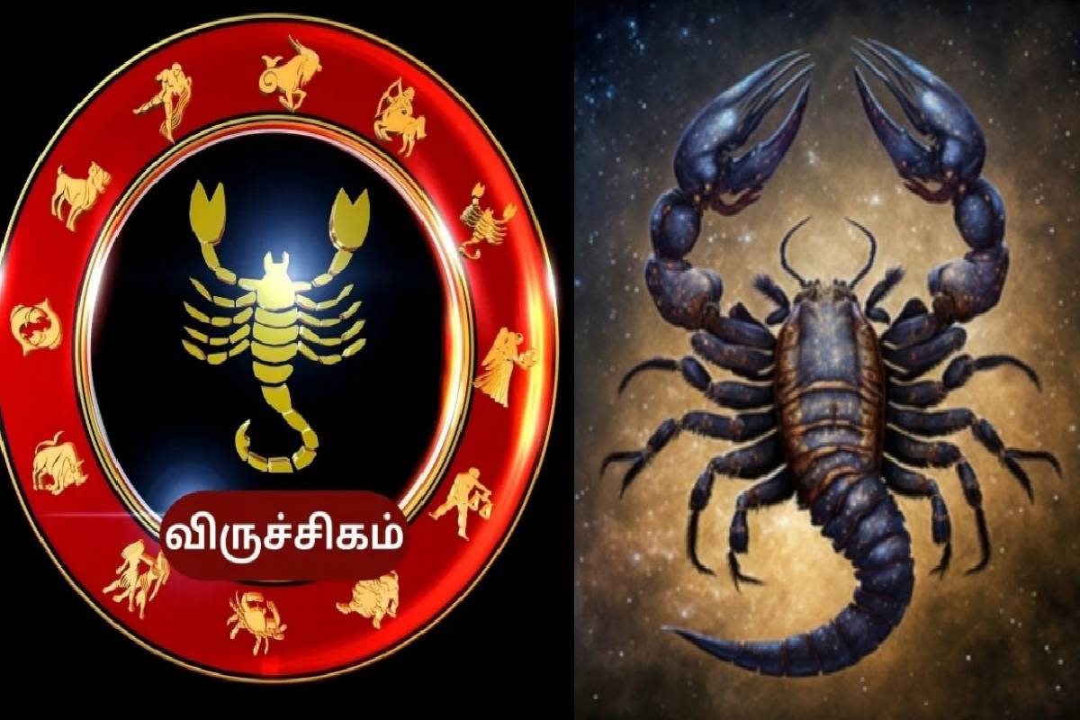 அதி புத்திசாலிகளாகவே பிறப்பெருத்த டாப் 3 ராசிகள் ! யார் யார்ன்னு தெரியுமா? | Which Zodiac Sign Men Are Most Intelligent