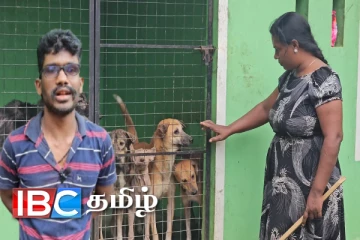 யாழ்ப்பாணத்தில் நன்றியுள்ள ஜீவன்களுக்கு அடைக்கலம் அளிக்கும் குடும்பம்