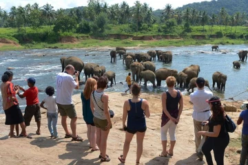 சுற்றுலாப் பயணிகளின் எண்ணிக்கை அதிகரிப்பு