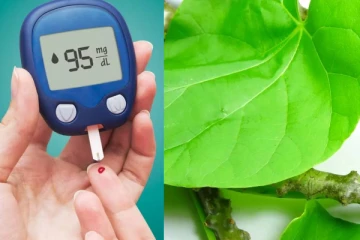 நீரிழிவு கொல்லி… சுகரை ஓட ஓட தாக்கி அழிக்கும் பானம்!