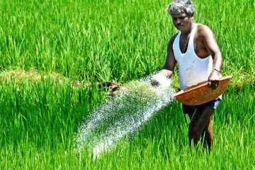 ஒரு மூடை யூரியா உரம் 10,000 ரூபா!