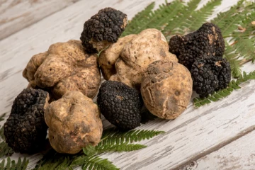 මෙන්න මේ පුස් වර්ගය ගත්තොත් එකෙන්ම ගොඩ.