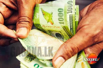 වැඩිහිටි දීමනාව ලැබෙන තවත් පිරිසක් මෙන්න