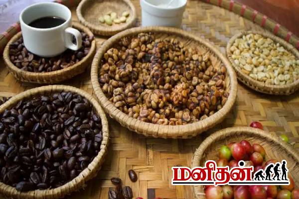 பூனை மலத்தில் காபி- இந்திய ரூபாயில் எவ்வளவு தெரியுமா? | Do You Know How Much Coffee Is Made From Cat Poop