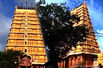 மூலஸ்தானத்தில் விக்கிரகம் இல்லாத மர்ம ஆலயம்! (video)