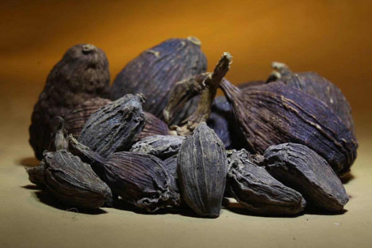 கருப்பு ஏலக்காய் சாப்பிடுவதால் என்ன பயன்? | What Are The Benefits Of Eating Black Cardamom