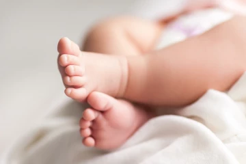 யாழில்  இடம்பெற்ற பதை பதைக்கும் சம்பவம்!