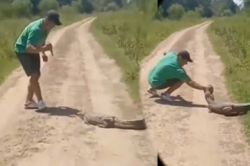 முதலையிடம் வம்பிழுத்த நபர்! வெறித்தனமாக கிடைத்த தண்டனை