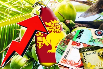 தென்னை ஏற்றுமதி மூலம் மில்லியன் டொலர் வருவாய்...! வெளியான தகவல்