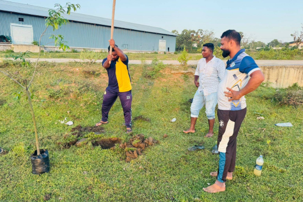 சம்மாந்துறையில் விளையாட்டு மைதான அபிவிருத்தி திட்டம் முன்னெடுப்பு | Sammanturai Grounds Get Upgraded