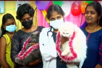 கருவுற்ற பூனைகளுக்கு அரங்கேறிய வளைகாப்பு: சீர் வரிசையாக வைக்கப்பட்டது என்ன தெரியுமா?