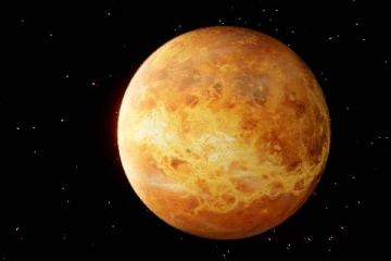 வீனஸ் கிரகத்தில் உயிரினங்கள் வாழ்கின்றனவா! விஞ்ஞானிகள் கூறுவது என்ன?