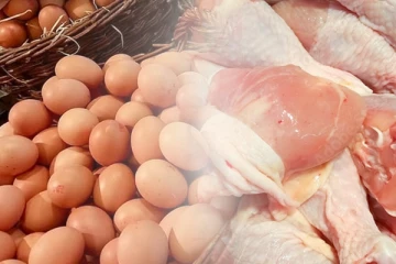 බිත්තර සහ කුකුලු මස්වලට ඉදිරියේ දී වන දේ..