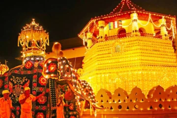 தலதா மாளிகை பெரஹெராவில் குழப்பம் விளைவித்த நபர் - உடனடியாக எடுக்கப்பட்ட நடவடிக்கை