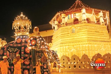 ශ්‍රී දළදා මාළිගාවේ ඇසල පෙරහැර මංගල්‍යය වෙනුවෙන් කප් සිටුවයි