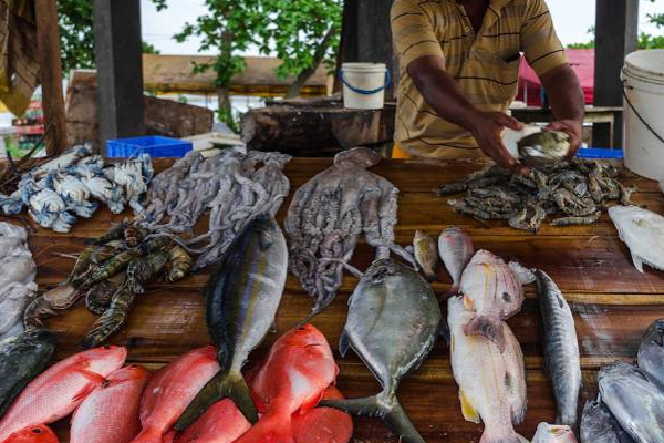 இலங்கையில் பெருமளவு குறைந்த உணவு பொருள் ஒன்றின் விலை! | Sri Lanka Market Fish Price Very Low Chicken High